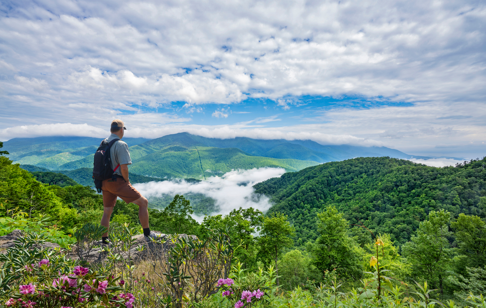 Blues Bbq Blue Ridge An Event Guide Blue Sky Cabin Rentals